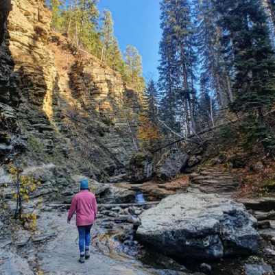 Person walks along a trail in Spearfish Canyon as the sun touches the top of ponderosa pine trees on the ridge above